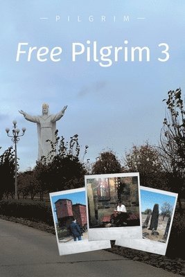 bokomslag Free Pilgrim 3