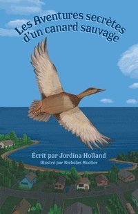 bokomslag Les Aventures secretes d'un canard sauvage