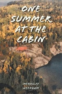 bokomslag One Summer at the Cabin