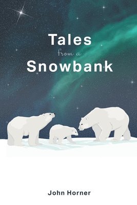 bokomslag Tales from a Snowbank