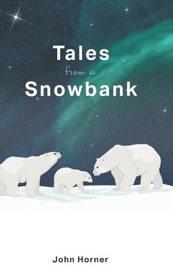 bokomslag Tales from a Snowbank