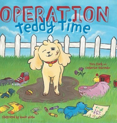 Operation Teddy Time 1