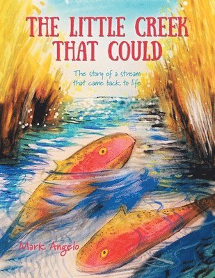 Mark Angelo - Little Creek That Could, Häftad