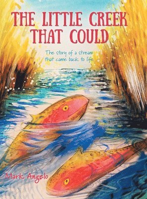 Little Creek That Could