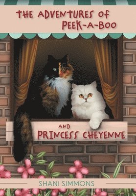 The Adventures of Peek-A-Boo and Princess Cheyenne 1