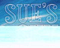 bokomslag Sue's Sky