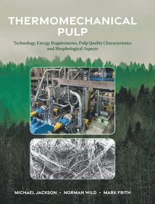 bokomslag Thermomechanical Pulp