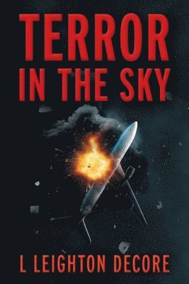 bokomslag Terror in the Sky