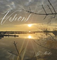 bokomslag Visions