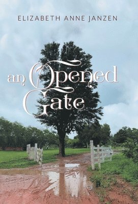 bokomslag Opened Gate