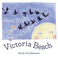 bokomslag Good Night, Good Night, Victoria Beach