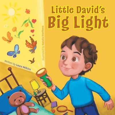 Laura Wilkins - Little David's Big Light, Häftad