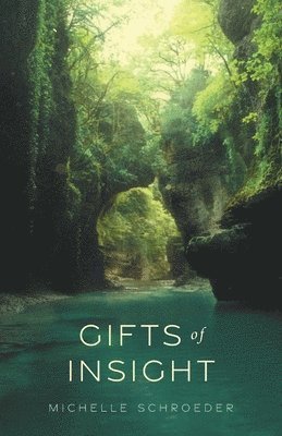 bokomslag Gifts of Insight