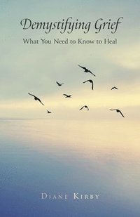 bokomslag Demystifying Grief