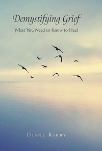 bokomslag Demystifying Grief