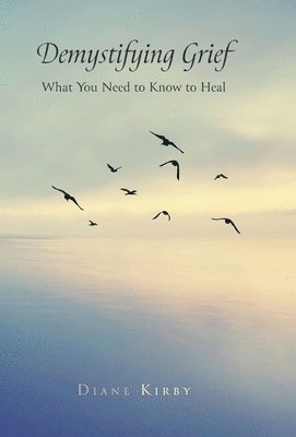 bokomslag Demystifying Grief