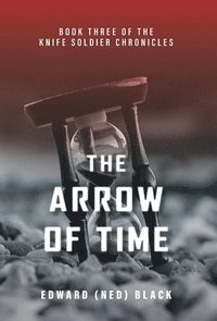 bokomslag The Arrow of Time