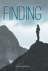 bokomslag Finding