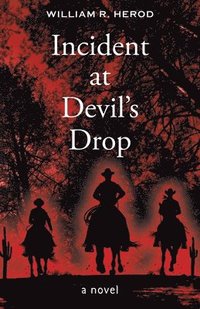 bokomslag Incident at Devil's Drop