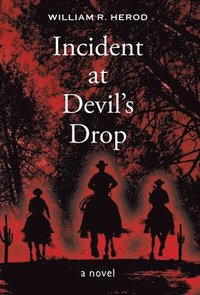 bokomslag Incident at Devil's Drop