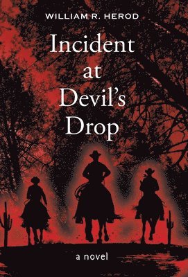 bokomslag Incident at Devil's Drop