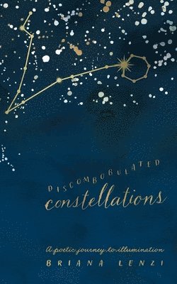 bokomslag Discombobulated Constellations