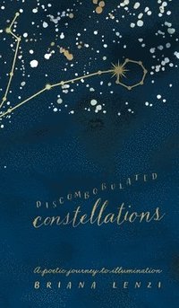 bokomslag Discombobulated Constellations