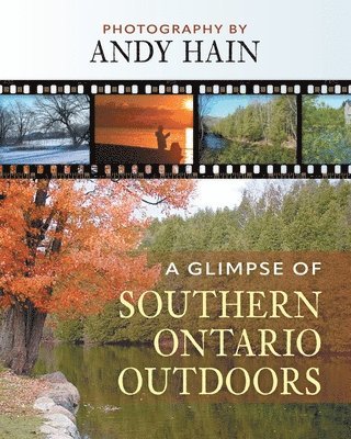 A Glimpse of Southern Ontario Outdoors 1