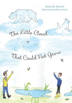 The Little Cloud That Could Not Grow 1