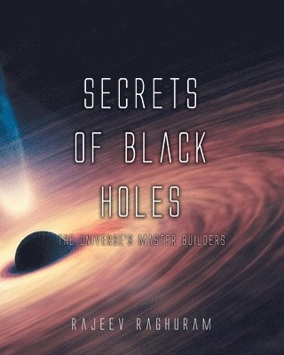 bokomslag Secrets of Black Holes