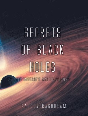 bokomslag Secrets of Black Holes