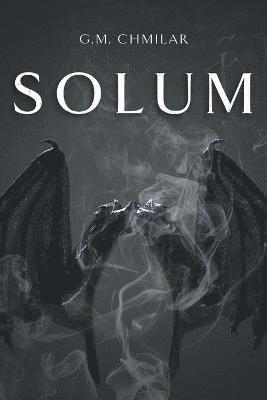 bokomslag Solum