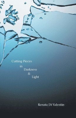 bokomslag Cutting Pieces in Darkness & Light