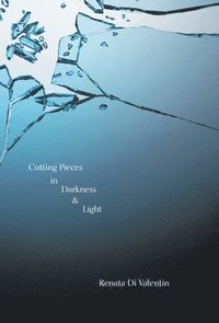 bokomslag Cutting Pieces in Darkness & Light