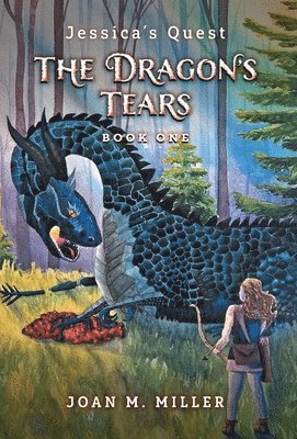 bokomslag Dragon's Tears