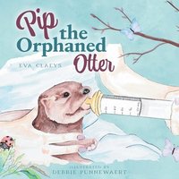 bokomslag Pip the Orphaned Otter
