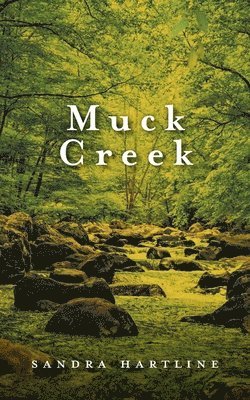 Muck Creek 1