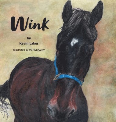 Kevin Lakes, Susie DeCoste - Wink, Inbunden