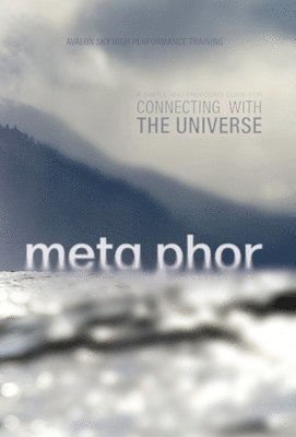 Meta Phor 1