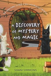bokomslag A Discovery of Mystery and Magic