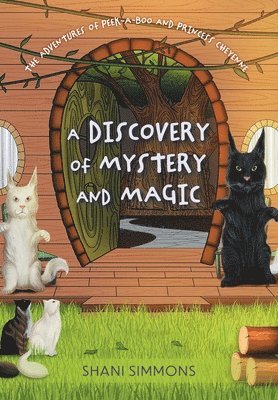 A Discovery of Mystery and Magic 1