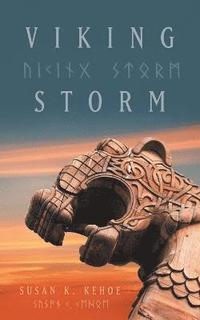 bokomslag Viking Storm