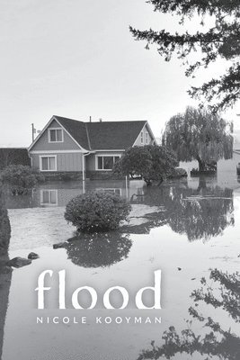 flood 1