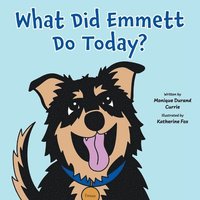 bokomslag What Did Emmett Do Today?