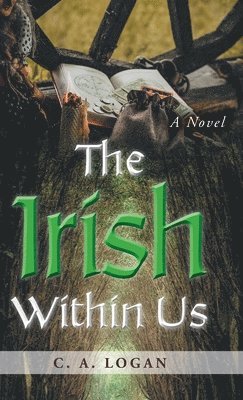bokomslag Irish Within Us
