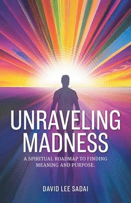 bokomslag Unraveling Madness