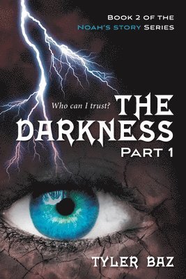 bokomslag Darkness