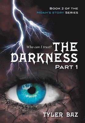 bokomslag Darkness