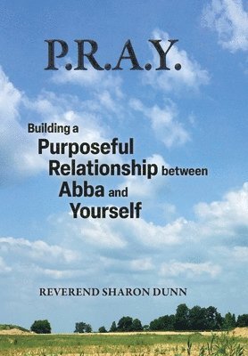 bokomslag P.R.A.Y.