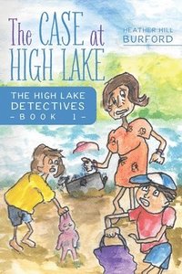 bokomslag Case at High Lake